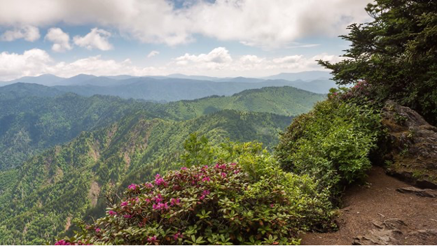 a view of a mountain range from a trail