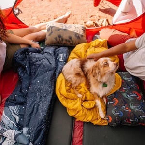 Two people and a dog in a tent with a camping blanket.