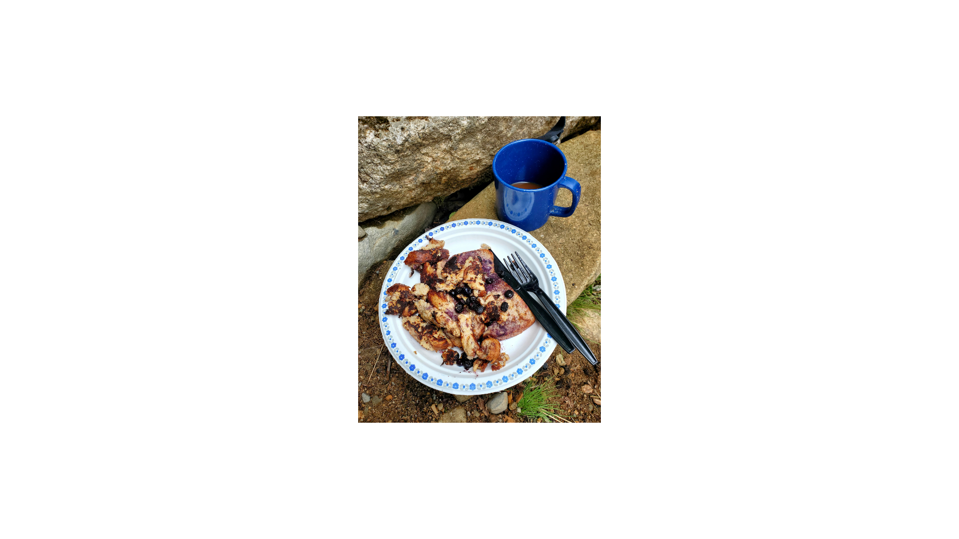 Blueberry pastry on a plate