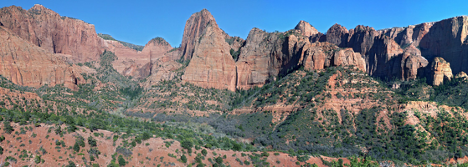 a large rocky mountain with green bushes, Kolob Canyons, Zion National Park