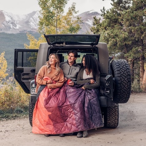 A group of people sitting in the back of a car