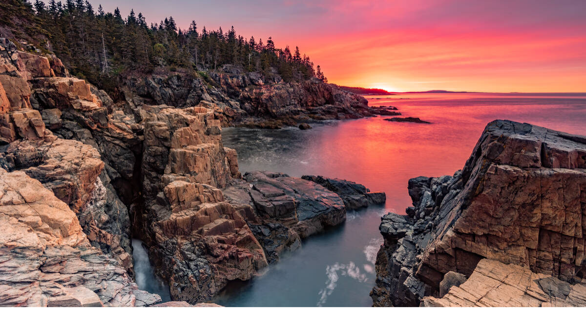 A rocky shore with trees at sunset