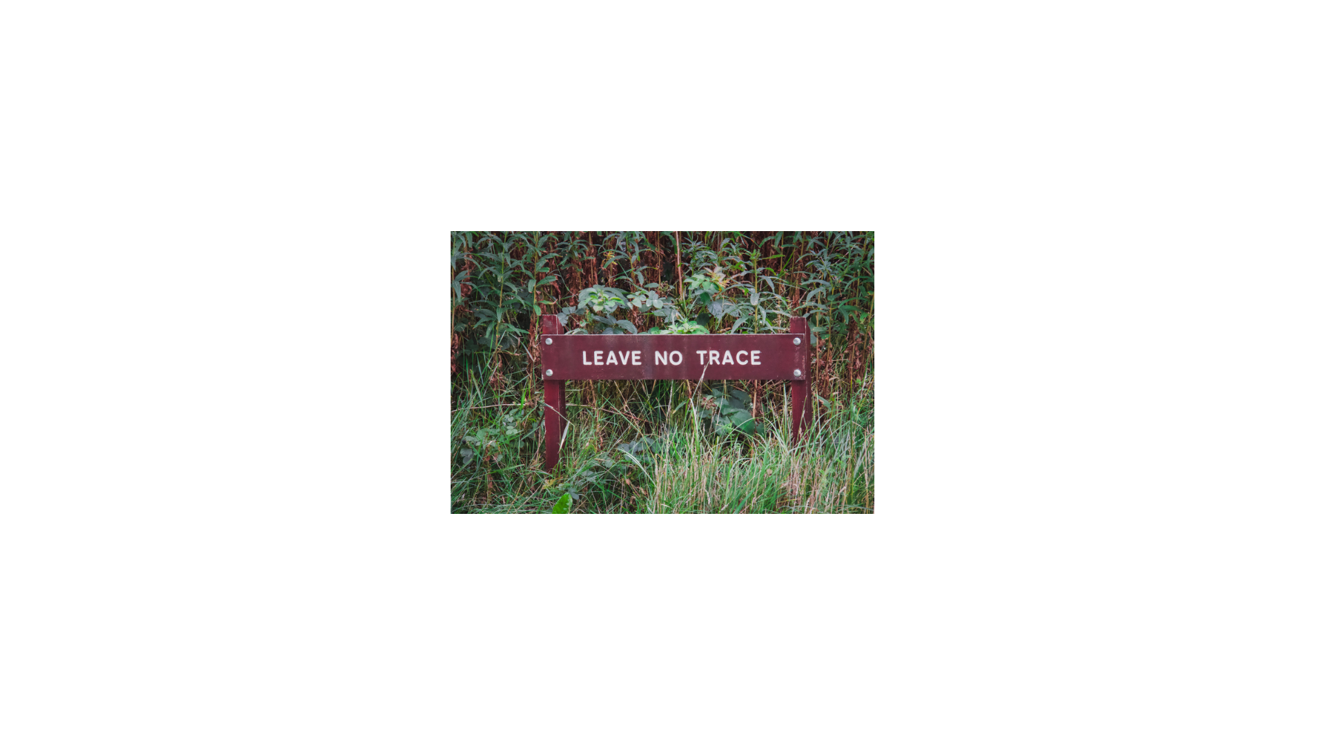 wood sign on a trail in the forest