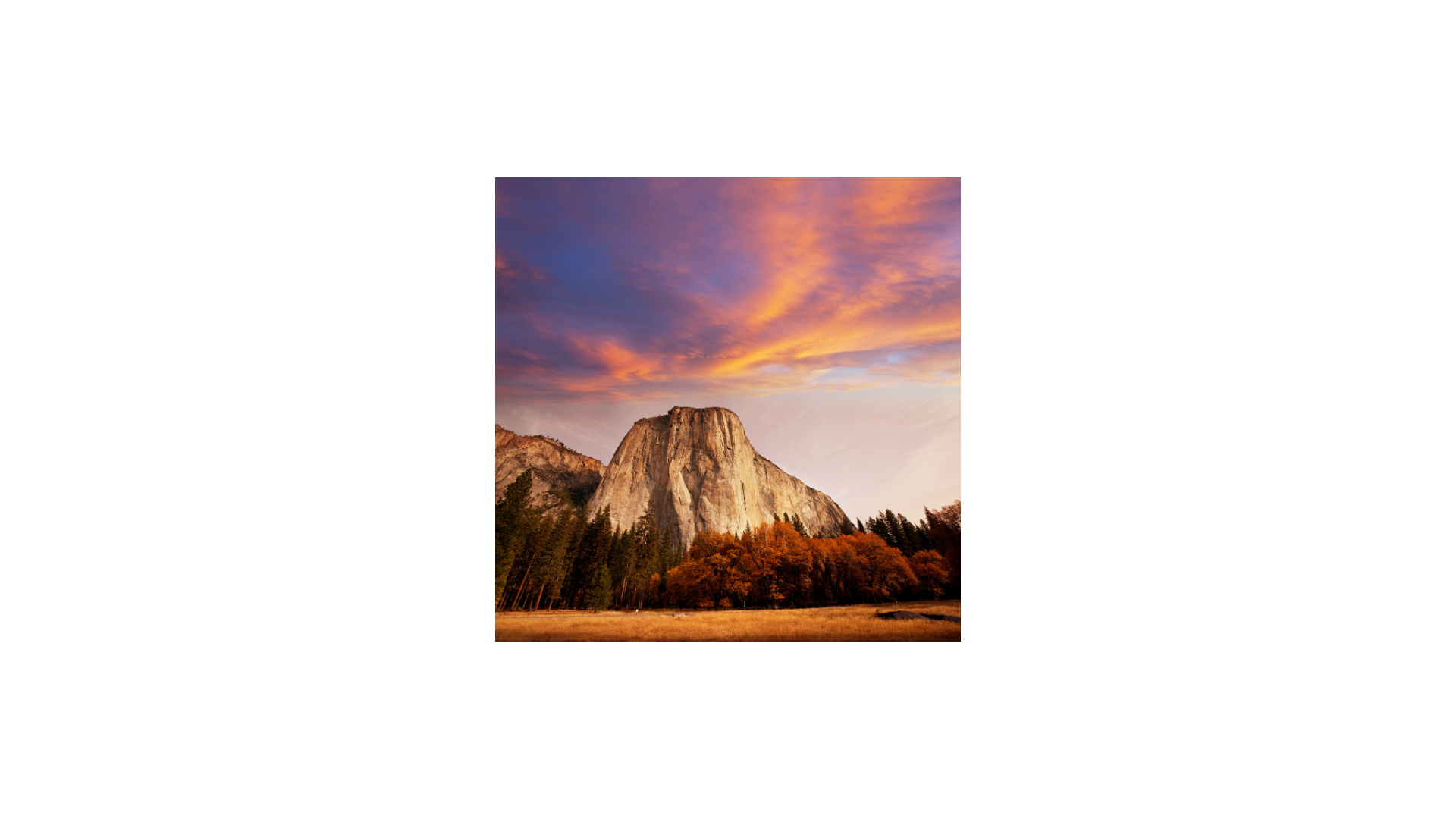 mountain with valley and trees in front